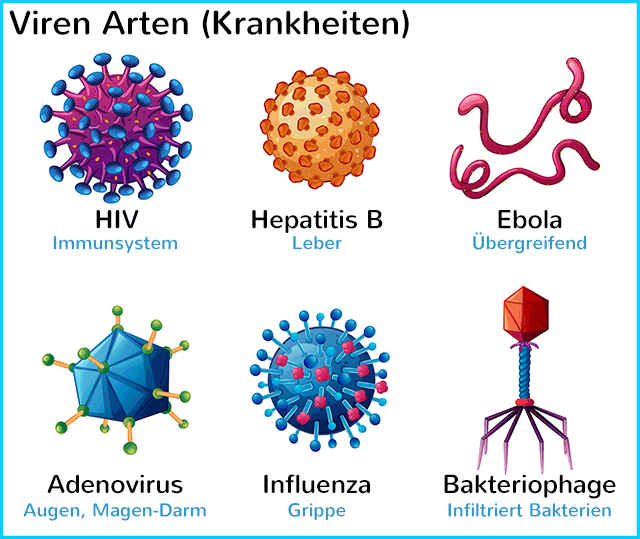 Viren-Arten und Krankheiten